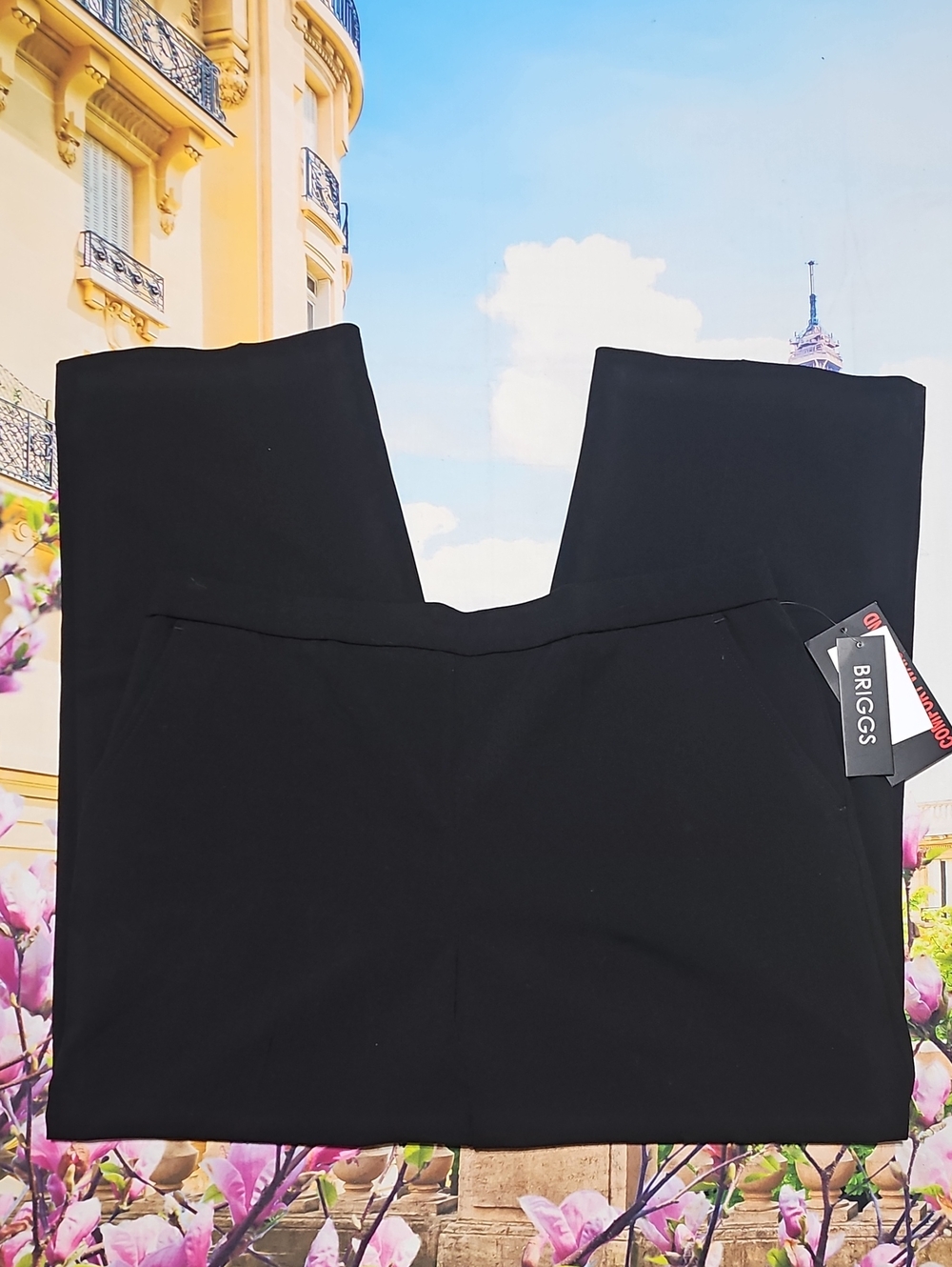 Briggs New York Black Wide-Leg Trousers Pants Size 16P Petite New